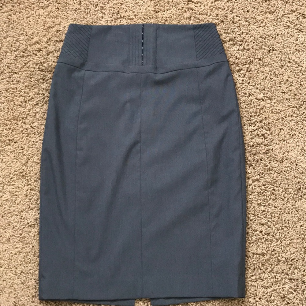Express Pencil Skirt